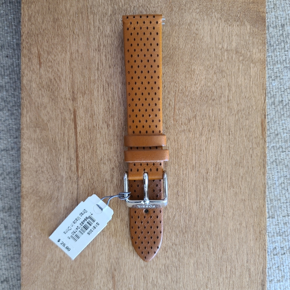 Fossil Interchangeable Watch Band